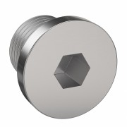 Steel Socket Screw Plugs