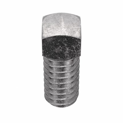 Square Head Set Screw: 1/4"-20 Thread Size, 1/2 in Overall Lg, Cup pt, Stainless Steel, Plain, 10 PK