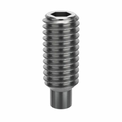 Socket Set Screw: M3x0.5 Thread Size, 8 mm Overall Lg, Dog pt, Stainless Steel, Plain, 100 PK