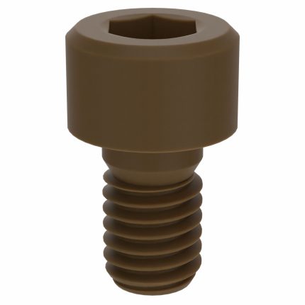 Socket Head Cap Screw: M6-1 Thread Size, 10 mm Lg, Std, Plain, Glass-Filled PEEK, Not Graded, 10 PK