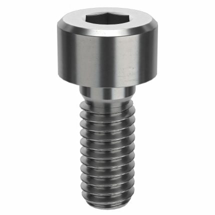 Socket Head Cap Screw: M4-0.7 Thread Size, 10 mm Lg, Std, Plain, Stainless Steel, 316 H5, 3 mm Drive