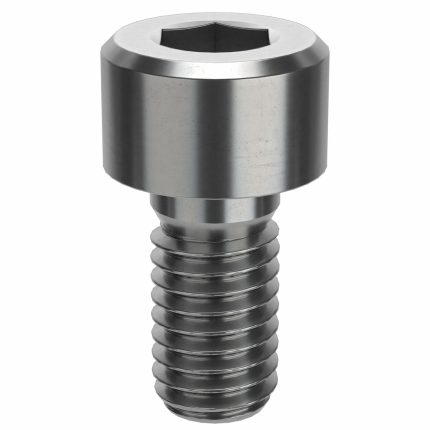 Socket Head Cap Screw: M5-0.8 Thread Size, 10 mm Lg, Std, Plain, Stainless Steel, 316 H5, 4 mm Drive