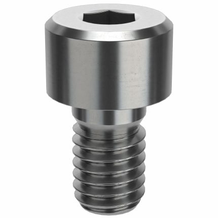 Socket Head Cap Screw: M6-1 Thread Size, 10 mm Lg, Low-Profile Std, Plain, Stainless Steel, 50 PK
