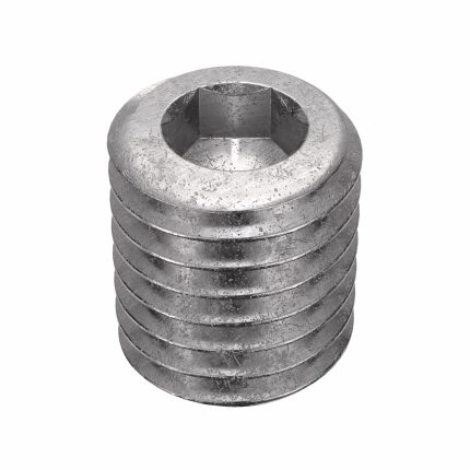Socket Set Screw: 1/4"-28 Thread Size, 5/16 in Overall Lg, Cup pt, Stainless Steel, Plain, 5 PK